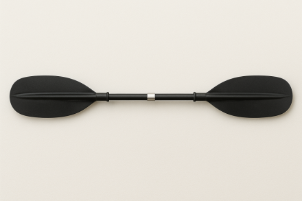 SwiftPaddle 1